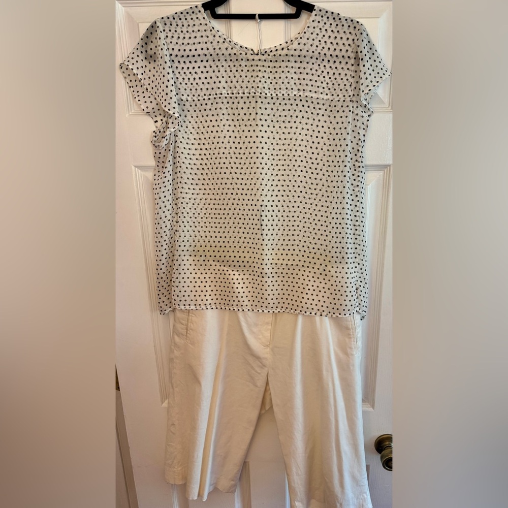 Maison Jules Off-White with Black Polka Dot Sheer Blouse Size Large - Picture 15 of 16